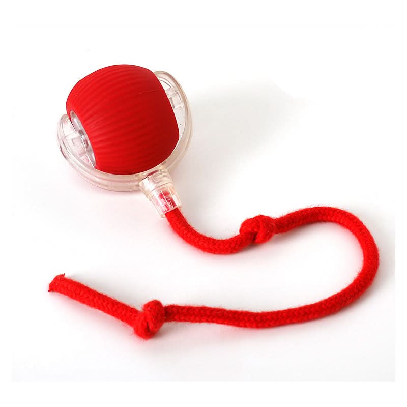Bouncing toy for active and curious cats 