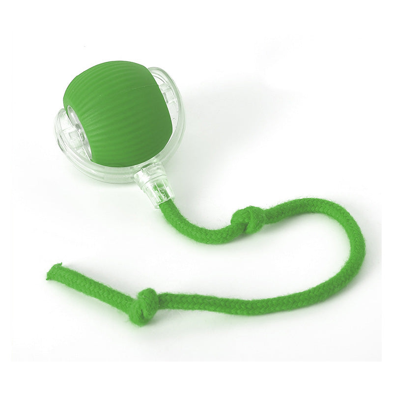 Sprungspielzeug für aktive und neugierige Katzen 