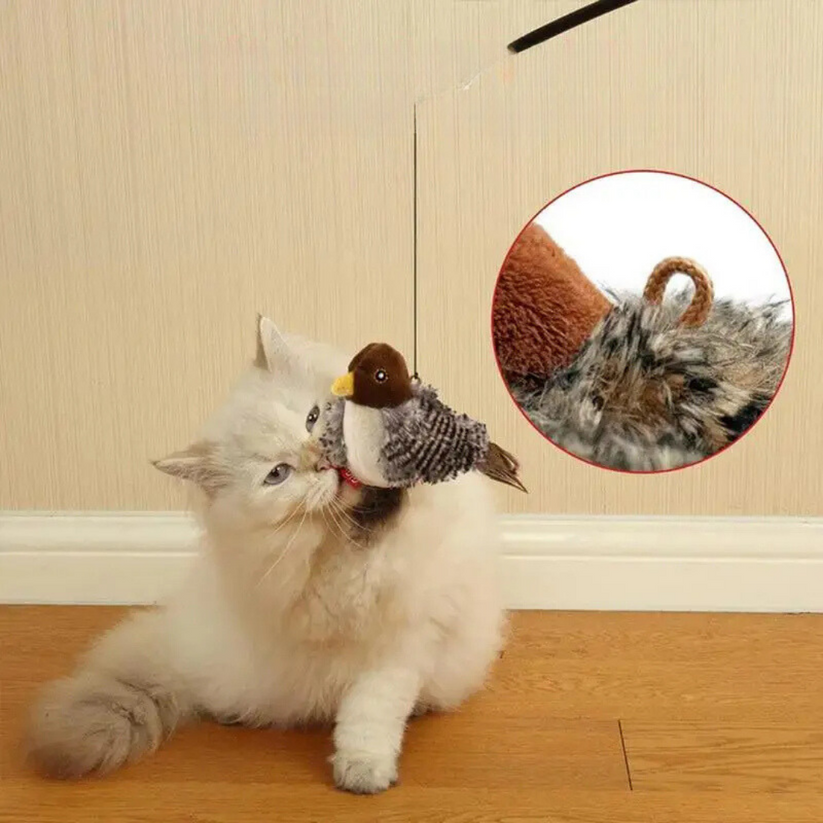 Stimulieren Sie den natürlichen Instinkt Ihrer Katze 