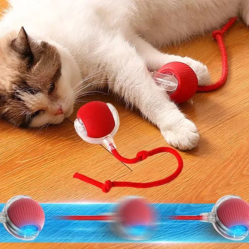 Sprungspielzeug für aktive und neugierige Katzen 
