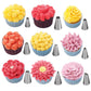 Pastry decoration kit - Delicious and precise creations 