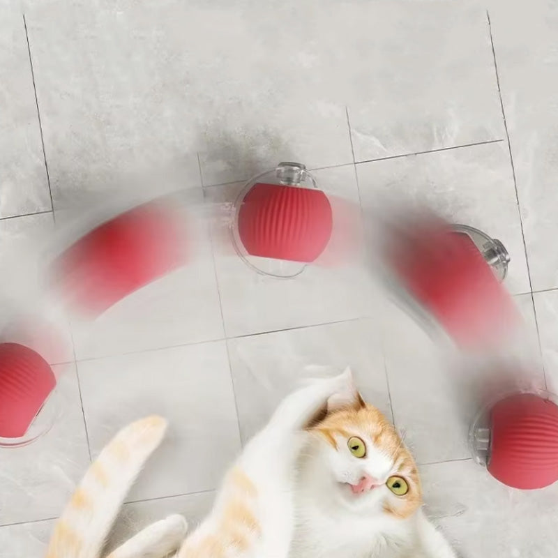 Sprungspielzeug für aktive und neugierige Katzen 