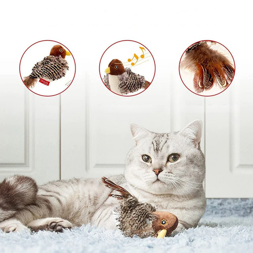 Stimulieren Sie den natürlichen Instinkt Ihrer Katze 