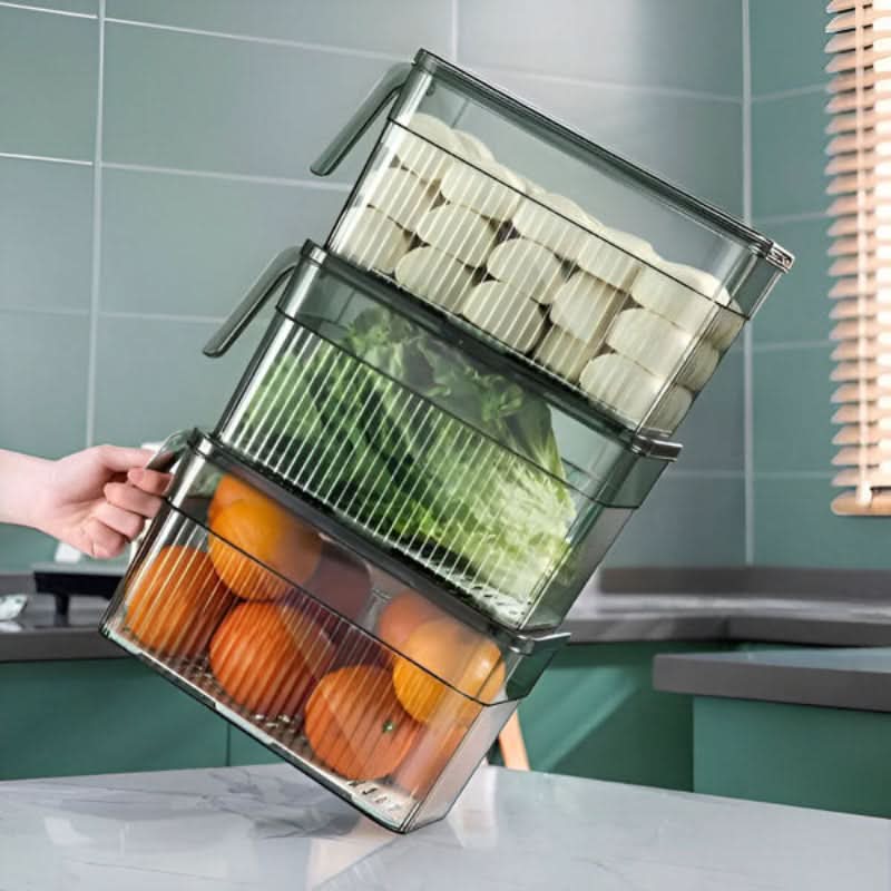 Bewahren Sie Ihre Lebensmittel länger frisch, einfach und gesund auf 