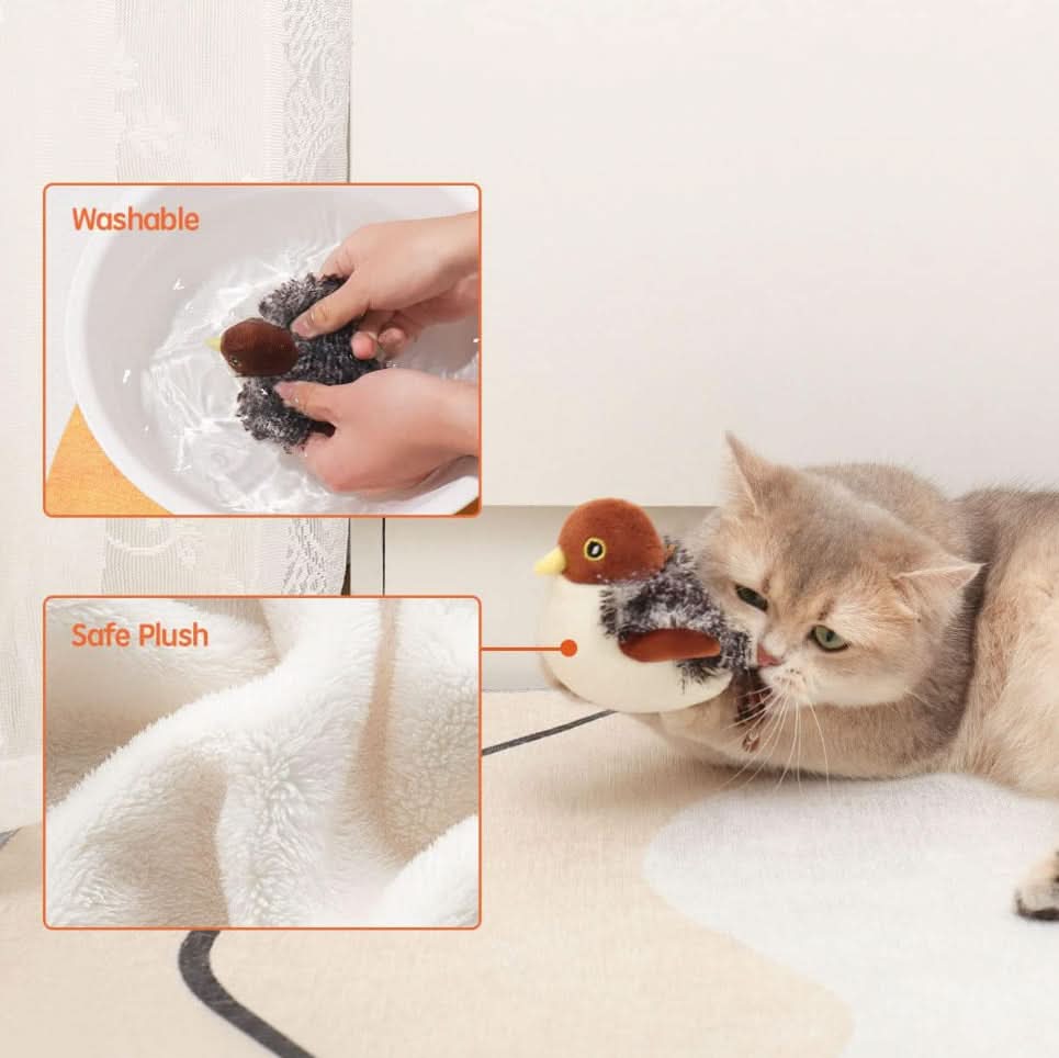 Stimulieren Sie den natürlichen Instinkt Ihrer Katze 